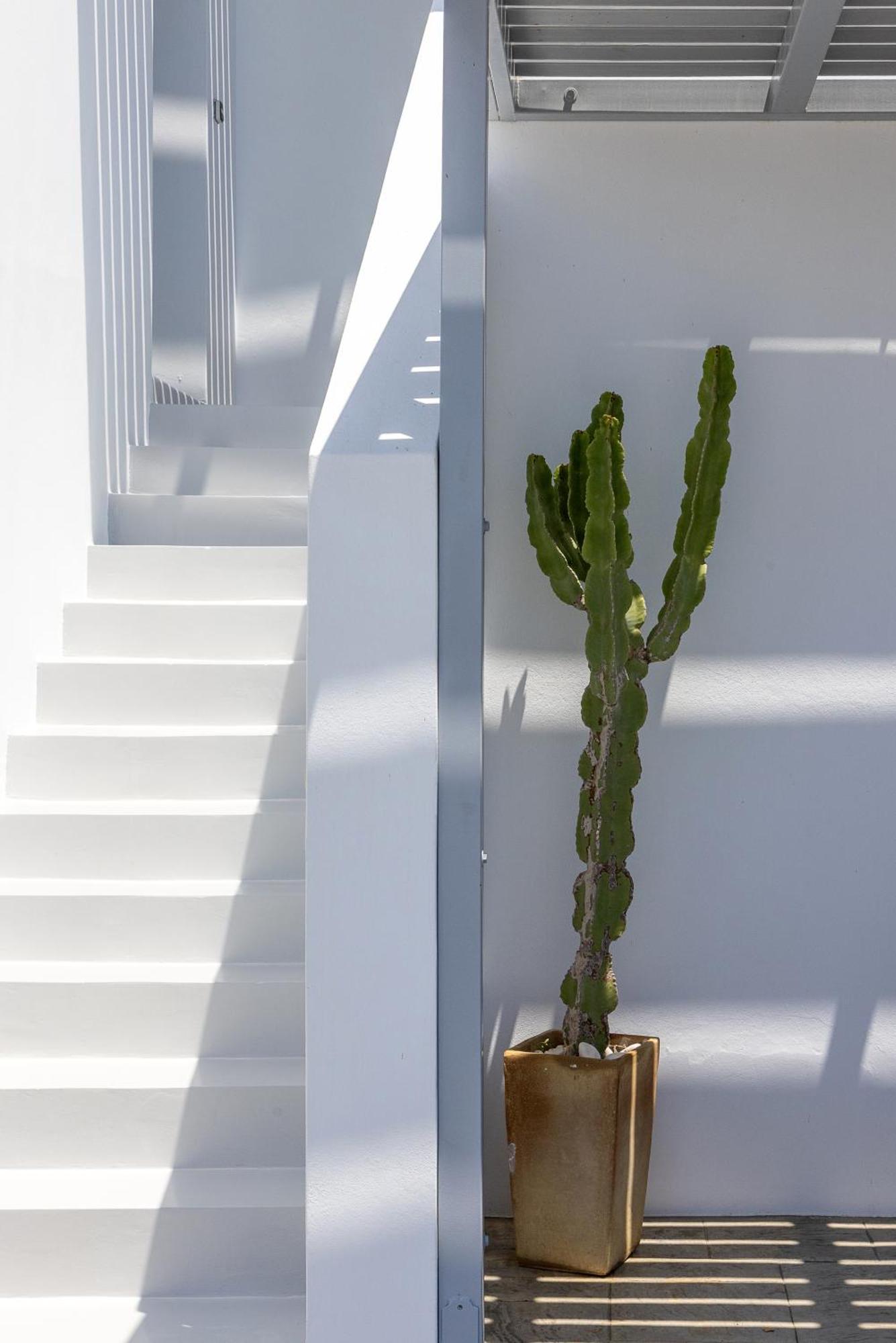 Aegean Colors Villa *