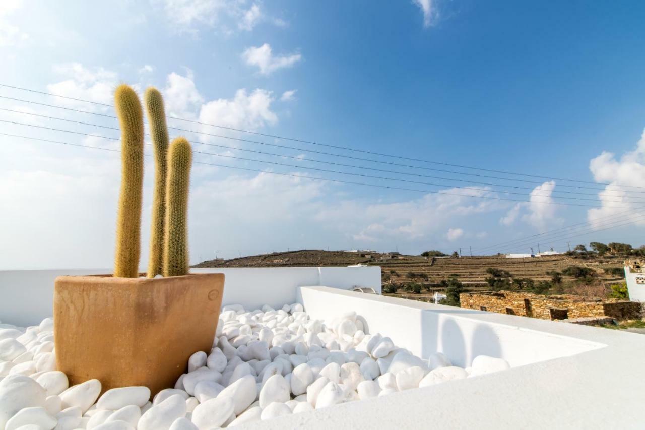 Aegean Colors Villa *